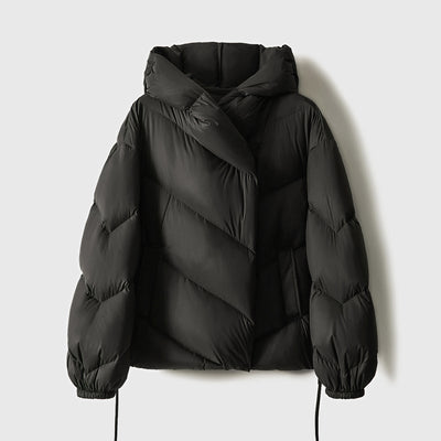 Hooded Puffer Jacket